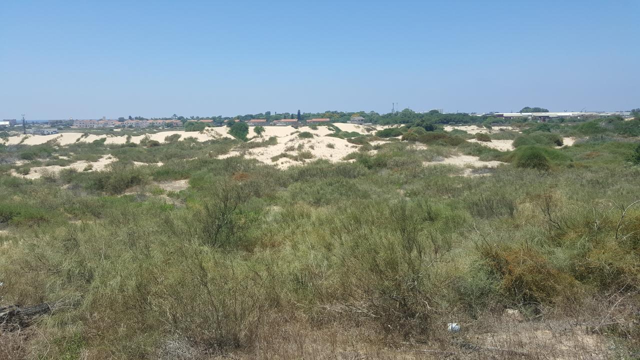 Neot Golf Caesarea Garden Apartment 외부 사진