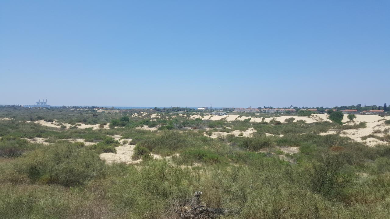 Neot Golf Caesarea Garden Apartment 외부 사진